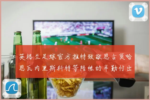 英格兰足球官方推特致敬恩古莫哈恩瓦内里斯科特等陪练的辛勤付出