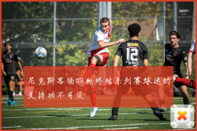 尼克斯客场四轮终结系列赛球迷的支持功不可没