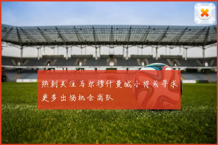 热刺关注马尔穆什曼城小将或寻求更多出场机会离队
